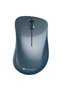 Mouse CNE-CMSW11BL