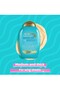 Argan Oil Of Morocco Powerful Moisturizing Salt-Free Shampoo with Argan Oil 385ml - 3