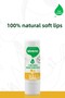 100% Natural Lip Protector Honey Herbal Lipbalm Lip Cream Moisturizer Shine Repair 6 G - 6