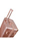 Hard Case Cabin Luggage Trolley Abs Lightweight With Built In Tsa Type Lock A5125 Rose Gold - 7