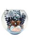 Terrarium Newborn Gift Set Baby Gift Mother Baby Gift Baby Boy