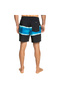 Air-Brush 17Nb m Jamv Men's Volley Short Eqyjv04011 - 6