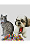 Cat Play Ball with Colorful Pompom and Sound - 7 Cm