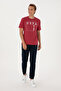 Men's Navy Blue Sweatpants 50299452 -Vr033