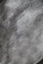 Single My Touch Nev Set Darcy Gray - Duvet Cover - 3