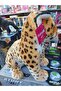 Leopard Sitting - 3