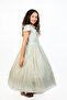 Veolia Olive Dark Lace Dress - 4
