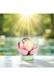 |   Mini Botany |   Water Lily Spring – Nelumbo Nucifera Plant–Diy 3D Puzzle Mini Flower Pot Block Set-69Pcs - 8