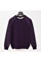 Men's Polo Collar Long Sleeve Slim Sweatshirt - 180780 - Plum
