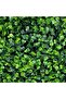 FFD Artificial Wall Grass Panels Artificial Green Landscaping Square Lawn Eucalyptus Pack of 10 - 8