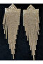 Zircon Shiny Stone Large Size Design Evening Dress Earrings