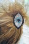 Dark Navy Blue Detailed Evil Eye Ellipse Clip Hair Clip, Gift Butterfly Buckle - 3