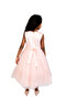 Emelly Flowers Pink Party Dress - 4
