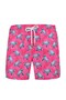 Castor Turtle Patterned Swim Shorts - 5