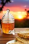Balora Acrylic Honey Jar with Spoon 250 ml - 2