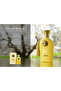Norah Amour Eau de Parfum - 3