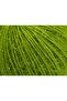 8X50Gr. Sparkle Soft Metallic Glitter Green Metallic Glitter, Soft, Shaggy, Winter - 2
