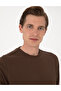 Brown 2 Thread Regular Fit Crew Neck Basic Sweatshirt 50314054-Vr029 - 2