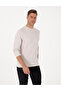 Stone Regular Fit Sweatshirt 50311649-Vr049 - 3