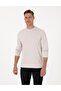 Stone Regular Fit Sweatshirt 50311649-Vr049