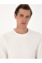 Ecru 3 Thread Regular Fit Crew Neck Basic Sweatshirt 50314978-Vr019 - 2