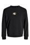 Jcovibrant Sweat Crew Neck Styd Aw24