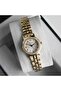 Ch002443 Women's Wrist Watch with Steel Band