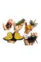 Set 6 insecte mari, multicolore, 7 cm - 20 cm - 3