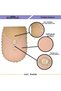 Powder Lisa 2-Piece Oval Dowry French Lace Appliqued Toilet Seat Set Bathroom Mat Set - 3