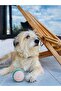 Knitted Ball Cotton Dog Toy 1 Piece - 3
