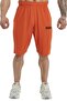 Men's Cotton Sports Shorts with Embroidery Big Sam 1522