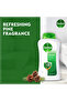 Original Body Wash Pine Fragrance 250 ml Refreshing Clean, Long-lasting Freshness - 6