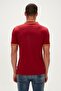 Claret Red Polo Neck Men's T-shirt - Groove - 4