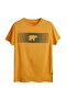Men's Mustard T-Shirt Fancy 20.01.07.024-C25