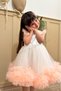 Salmon Carnival Sleeveless Ruffle Skirt Dress for Baby Girl - Alice - 6