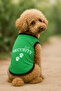 New Season Dog and Cat Outfit - Green Security - 2