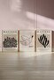 Papiers Picasso Matisse 3 Painting, Poster Set - Unframed