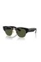 Sunglasses Rb0316S 53 901/31