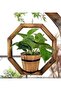 FFD Rustic Wooden Hanging Flower Pot - Wall-Mounted Decorative Vase - 3