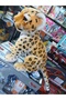 Leopard Sitting - 2