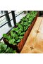 FFD Rectangular Wooden Planter Box – Versatile Indoor & Outdoor Flower Pot for Plants, Suc - 7