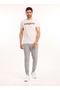 Dion Men's Tracksuit Bottom Gray Melange Regular Waist Standard Straight Men's Sweatpants