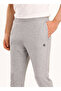 Dion Men's Tracksuit Bottom Gray Melange Regular Waist Standard Straight Men's Sweatpants - 2