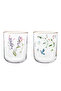 Melay 4-Piece Water Glass Set - Transparent - 6