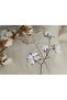 Moneda Embroidered Double Cotton Satin Duvet Cover Set - Beige - 3
