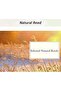 FFD 100x200cm Bamboo Blinds, Natural Bamboo Hanging Window Blind, Privacy Screen for Outdoor Patios - 5