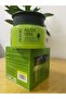 Aloe Vera Moisture Cream (50g) - 5
