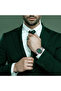 LUMINA ANALOG Men's Analog Green Dial Watch - T22001-SBSHB - 7