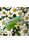 Chamomile Refreshing Wet Towels - 25pcs Soft Cotton for Daily Hygiene & Freshness - 2
