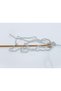 Lot of 4 X 100Gr Skeins Ice Yarns Gonca Hand Knitting Yarn Light Grey - 3